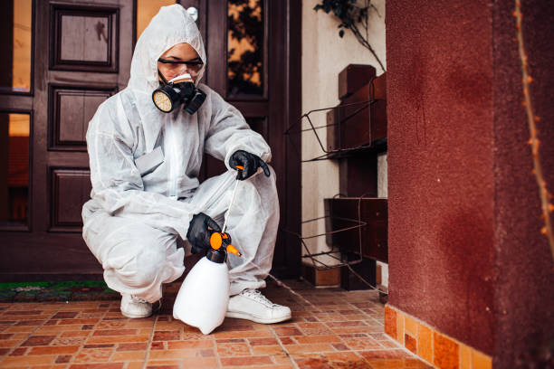 Reliable Ant Control contractor in Spanaway, WA by Nex Pest Control